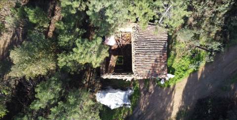 Quinta com 2.25Ha e casa para recuperar na freguesia das Sarzedas