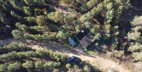 Quinta com 2.25Ha e casa para recuperar na freguesia das Sarzedas