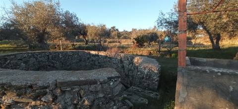 Quintinha em Aranhas