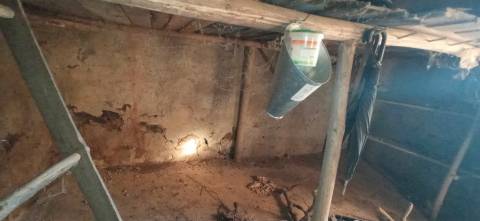 Quintinha em Aranhas