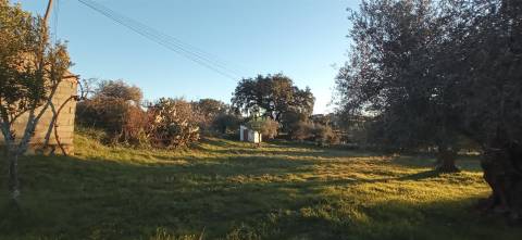 Quintinha em Aranhas