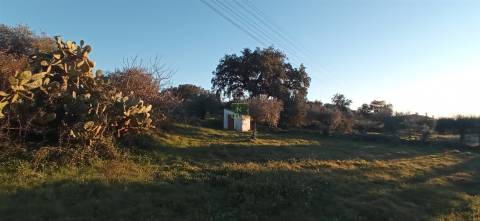 Quintinha em Aranhas