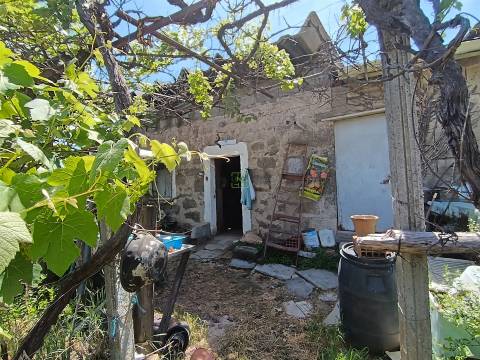 Quintinha com 3500m2 situada na entrada de Penamacor.