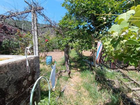 Quintinha com 3500m2 situada na entrada de Penamacor.