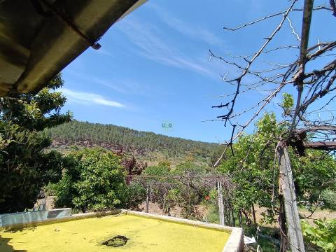 Quintinha com 3500m2 situada na entrada de Penamacor.