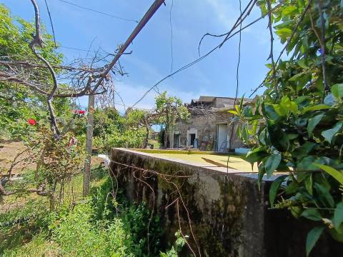 Quintinha com 3500m2 situada na entrada de Penamacor.