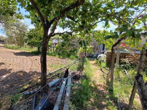 Quintinha com 3500m2 situada na entrada de Penamacor.