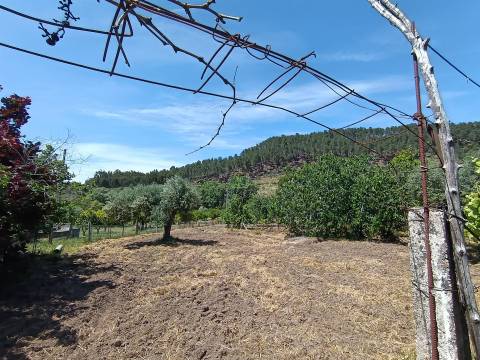 Quintinha com 3500m2 situada na entrada de Penamacor.