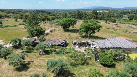 Quintinha com 3500m2 situada na entrada de Penamacor.