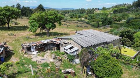 Quintinha com 3500m2 situada na entrada de Penamacor.