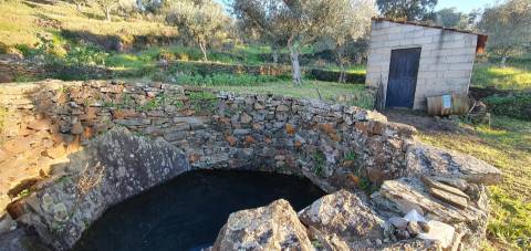 QUINTA JUNCAL DO CAMPO