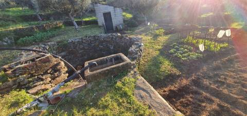 QUINTA JUNCAL DO CAMPO