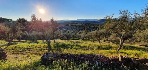 QUINTA JUNCAL DO CAMPO