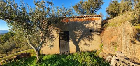 QUINTA JUNCAL DO CAMPO