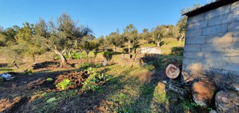 QUINTA JUNCAL DO CAMPO