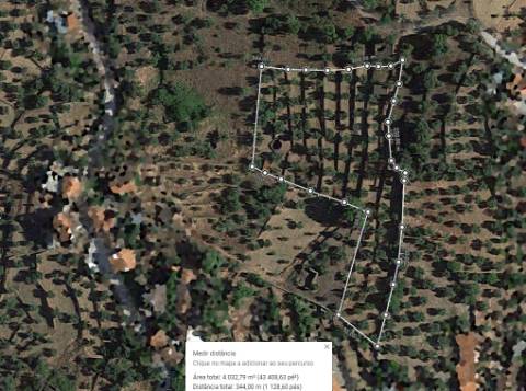 QUINTA JUNCAL DO CAMPO