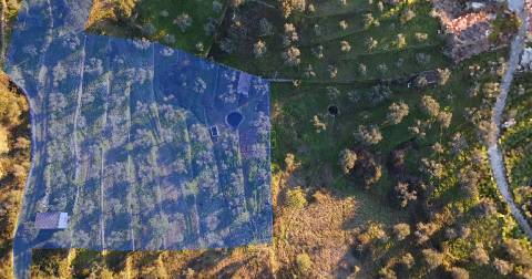 QUINTA JUNCAL DO CAMPO