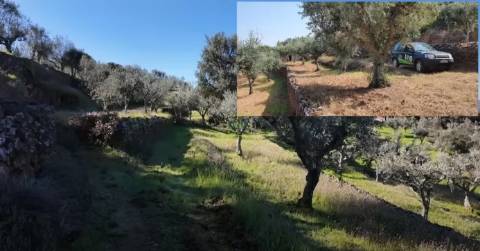 QUINTA JUNCAL DO CAMPO