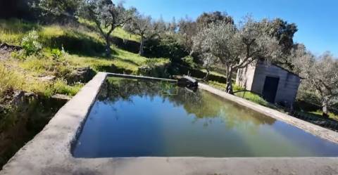 QUINTA JUNCAL DO CAMPO