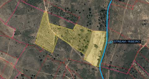 Quinta com 22.640m2 na freguesia das Sarzedas