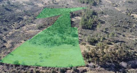 Quinta com 22.640m2 na freguesia das Sarzedas