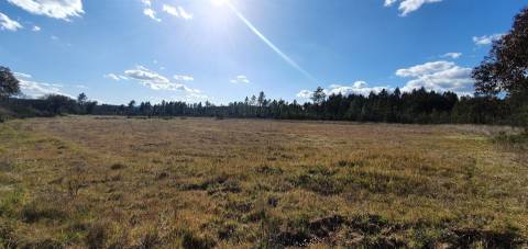 Quinta com 22.640m2 na freguesia das Sarzedas