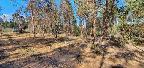 Quinta com 22.640m2 na freguesia das Sarzedas