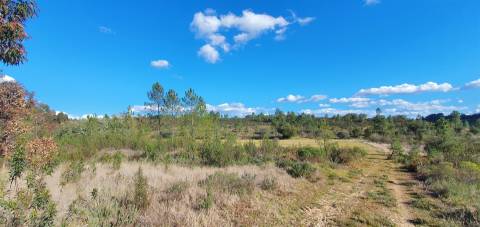 Quinta com 22.640m2 na freguesia das Sarzedas