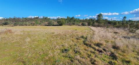 Quinta com 22.640m2 na freguesia das Sarzedas