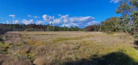 Quinta com 22.640m2 na freguesia das Sarzedas