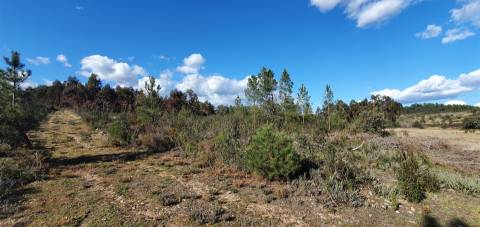Quinta com 22.640m2 na freguesia das Sarzedas