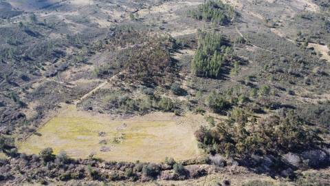 Quinta com 22.640m2 na freguesia das Sarzedas