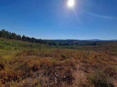 Terreno Rústico - 3520m2 - Sobral do Campo