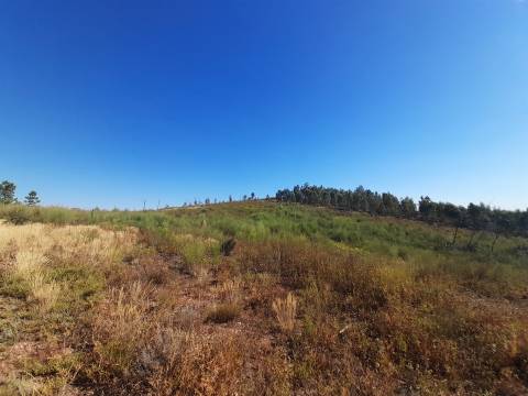 Terreno Rústico - 3520m2 - Sobral do Campo