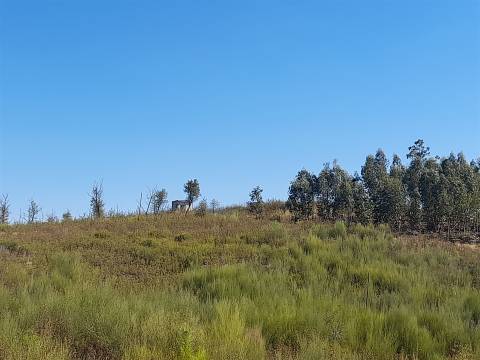 Terreno Rústico - 3520m2 - Sobral do Campo