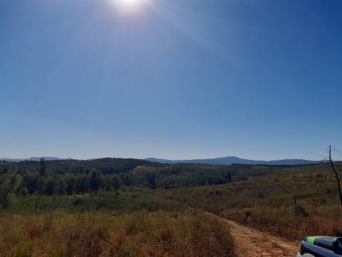 Terreno Rústico - 3520m2 - Sobral do Campo