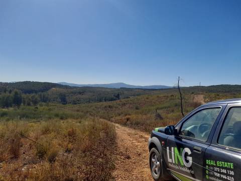 Terreno Rústico - 3520m2 - Sobral do Campo