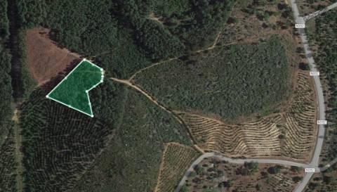 Terreno Rústico - 3520m2 - Sobral do Campo