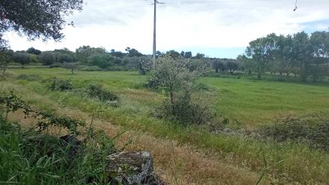 Quintinha mesmo á entrada de Penamacor!