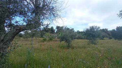 Quintinha mesmo á entrada de Penamacor!