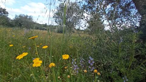 Quintinha mesmo á entrada de Penamacor!