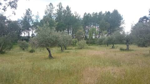 Quintinha mesmo á entrada de Penamacor!