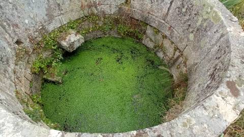 Quintinha mesmo á entrada de Penamacor!