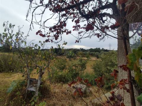 Quintinha mesmo á entrada de Penamacor!