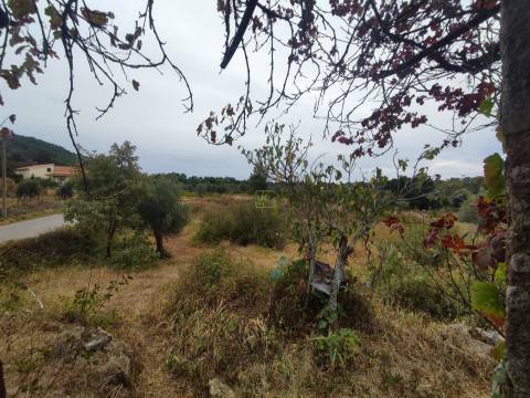 Quintinha mesmo á entrada de Penamacor!