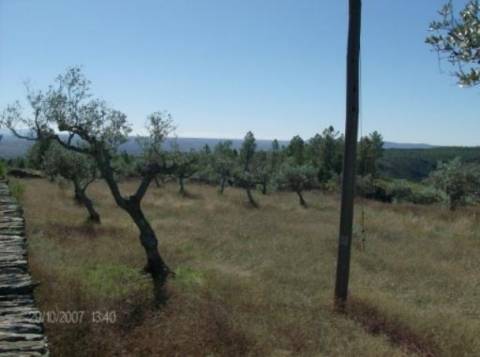 Terreno em Cebolais de Cima, Castelo Branc...