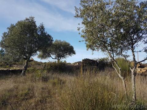 Terreno em Cebolais de Cima, Castelo Branc...