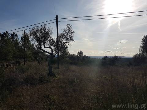 Terreno em Cebolais de Cima, Castelo Branc...