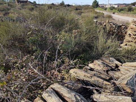 Terreno em Cebolais de Cima, Castelo Branc...