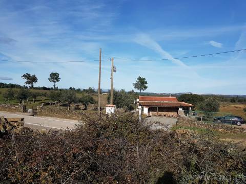 Terreno em Cebolais de Cima, Castelo Branc...